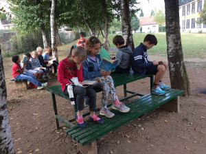 4M Reading Under The Trees 6